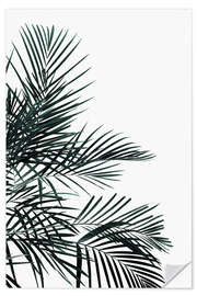 Sticker mural Palm tree in the wind