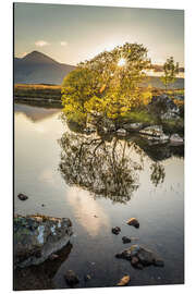 Obraz na aluminium Evening light on Rannoch Moor, Scotland