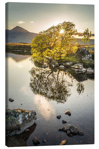 Tableau sur toile Evening light on Rannoch Moor, Scotland