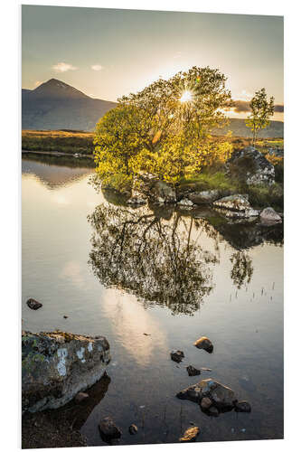 Print på skumplade Evening light on Rannoch Moor, Scotland