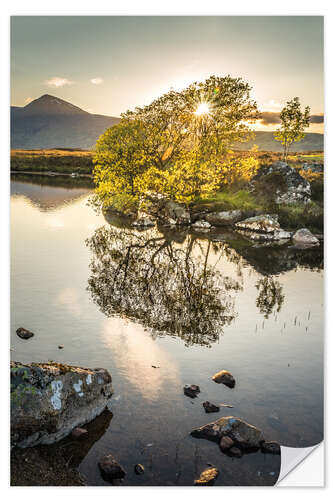 Naklejka na ścianę Evening light on Rannoch Moor, Scotland