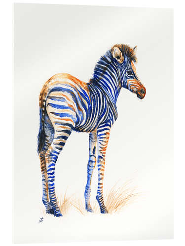 Quadro em acrílico Baby Zebra