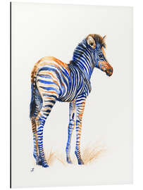 Aluminium print Baby Zebra