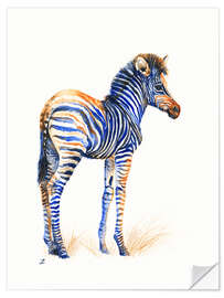 Selvklebende plakat Baby Zebra