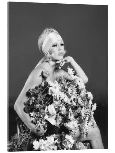 Acrylglasbild Brigitte Bardot in Rum Boulevard