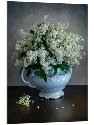 Aluminiumsbilde Still life with privet flowers