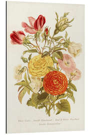 Stampa su alluminio Antique Floral Bouquet I