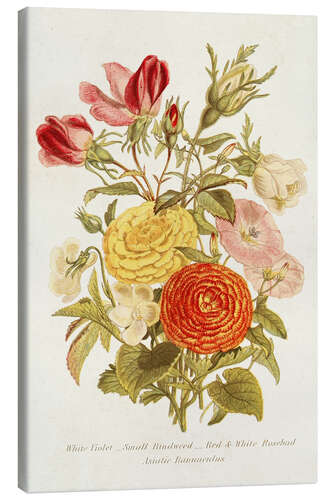 Canvas print Antique Floral Bouquet I