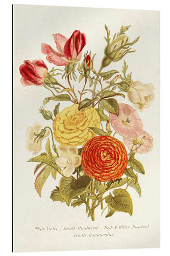 Gallery print Antique Floral Bouquet I