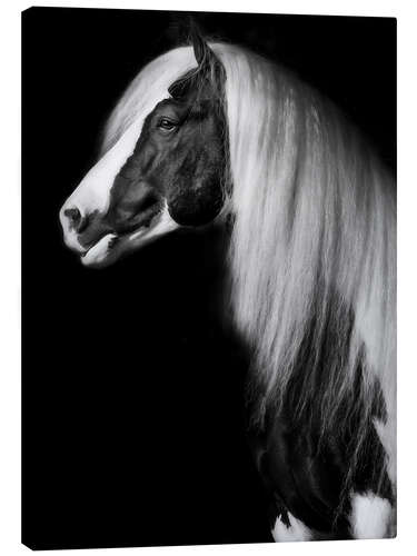 Canvas print Equine Portrait VII