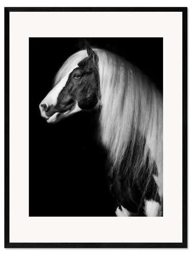 Impression artistique encadrée Equine Portrait VII
