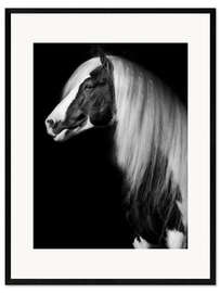 Impression artistique encadrée Equine Portrait VII