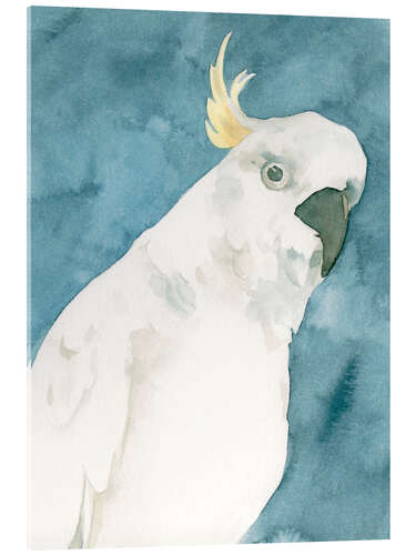 Akryylilasitaulu Cockatoo Portrait I