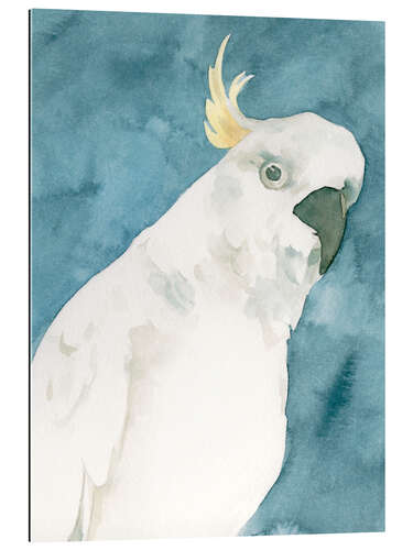 Gallery print Cockatoo Portrait I