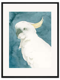 Gerahmter Kunstdruck Kakadu Porträt II