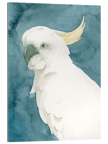 Gallery print Cockatoo Portrait II