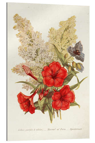 Galleritryck Antique Floral Bouquet V