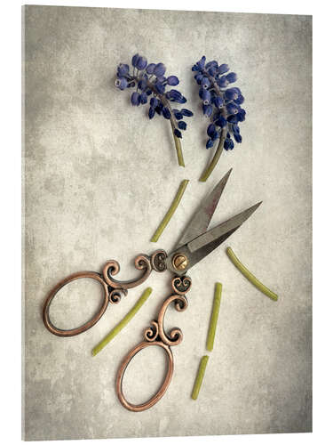 Akrylbilde Still life with cut flowers and scissors