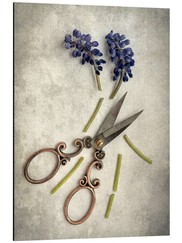 Aluminiumsbilde Still life with cut flowers and scissors