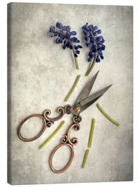 Canvas print Still life with cut flowers and scissors