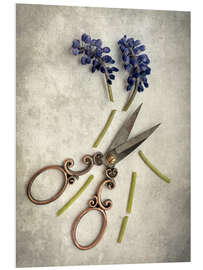 Foam board print Still life with cut flowers and scissors