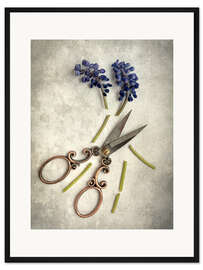 Gerahmter Kunstdruck Stillleben mit Schnittblumen und Schere