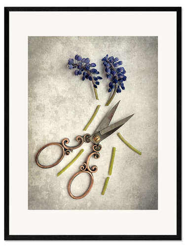 Impression artistique encadrée Still life with cut flowers and scissors
