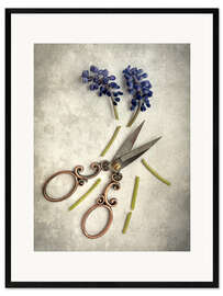 Kehystetty taidepainatus Still life with cut flowers and scissors