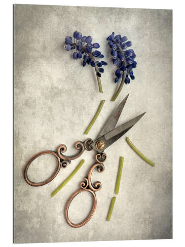 Galleriataulu Still life with cut flowers and scissors