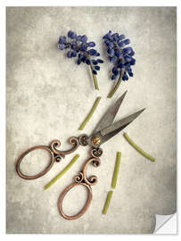 Selvklebende plakat Still life with cut flowers and scissors