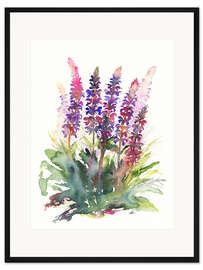 Gerahmter Kunstdruck Wilder Salbei