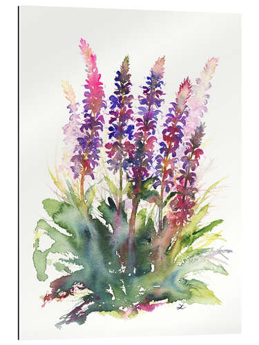 Gallery print Wild Sage