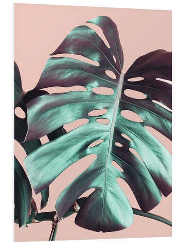 Foam board print Monstera and Pink