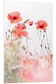 Tableau en PVC Blooming Poppies