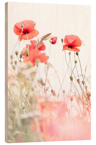 Stampa su legno Blooming Poppies