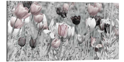 Aluminiumtavla Tulips meadow