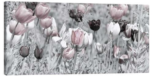 Stampa su tela Tulips meadow