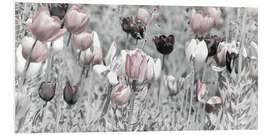 PVC-taulu Tulips meadow