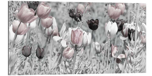 Gallery print Tulips meadow