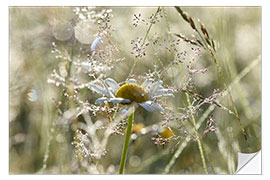 Selvklebende plakat Early morning in the meadow