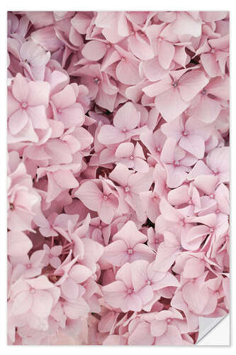 Självhäftande poster Pastel colored hydrangea