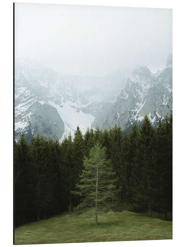 Aluminium print Tree in the alpine panorama