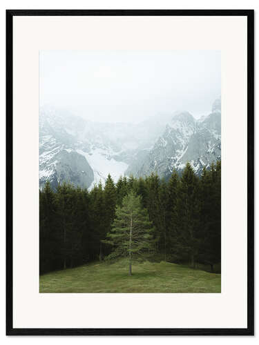 Plakat artystyczny premium w ramie Tree in the alpine panorama