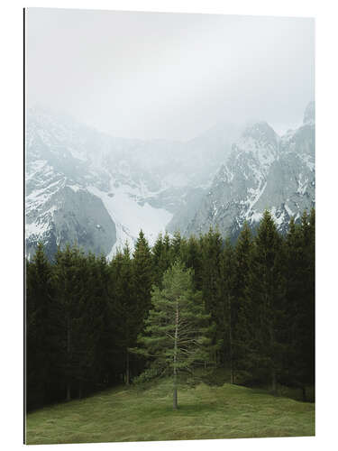 Gallery print Tree in the alpine panorama