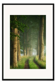 Gerahmter Kunstdruck Sommerweg