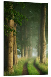 Gallery print Summer path