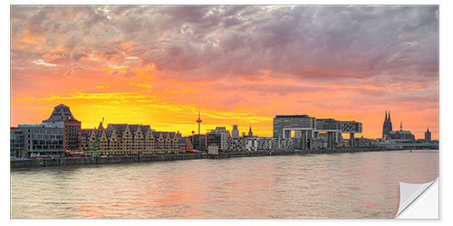 Självhäftande poster Cologne skyline at sunset