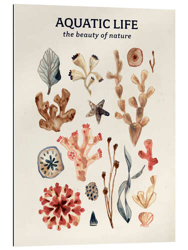 Gallery print Aquatic Life - The beauty of nature II