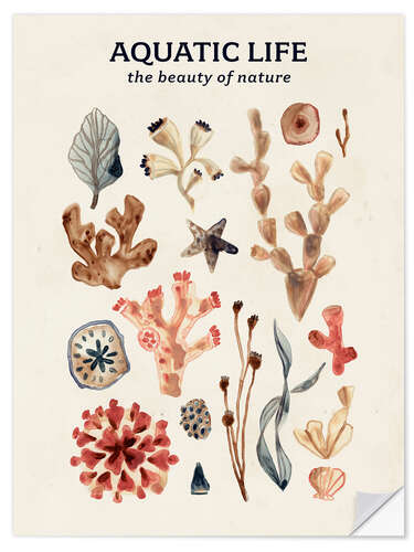 Sticker mural Aquatic Life - The beauty of nature II