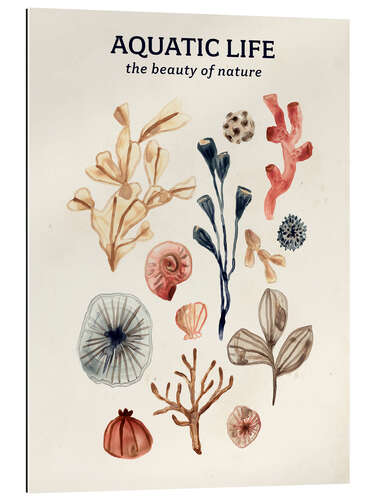 Quadro em plexi-alumínio Aquatic Life - The beauty of nature I